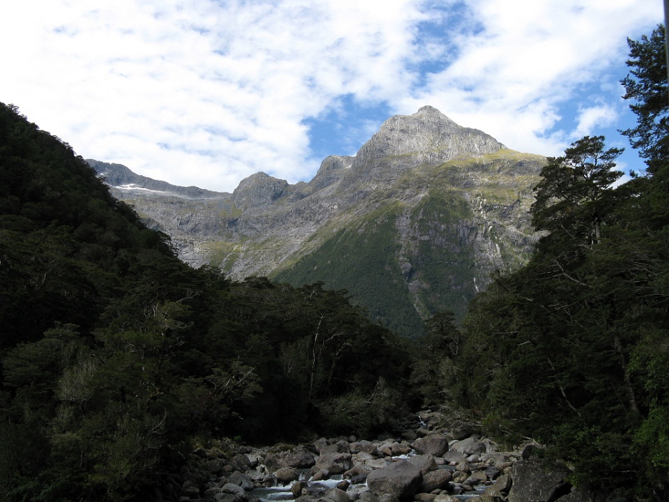 Peak Towering About the Forest